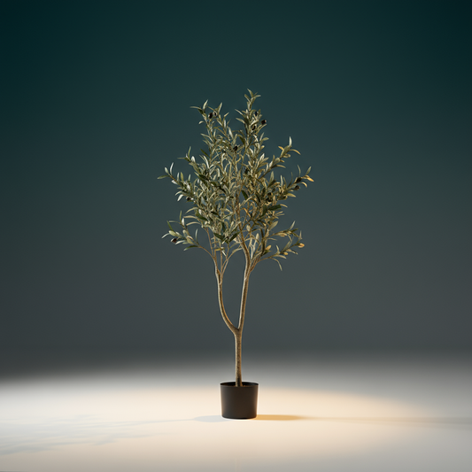 Leny’s - Olivenbaum